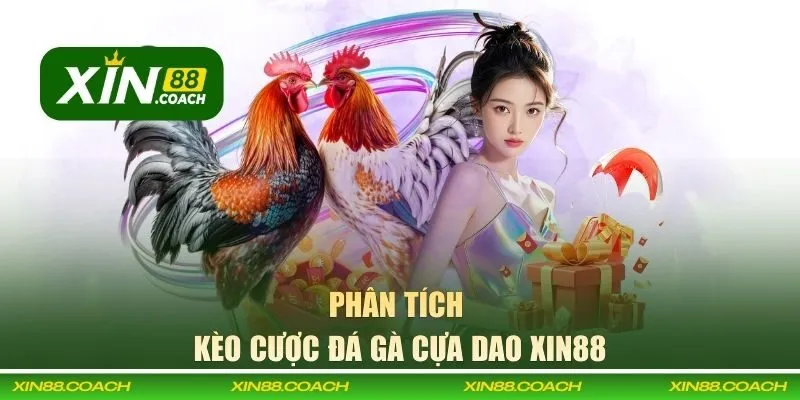 Kèo cược chọi gà cựa dao XIN88