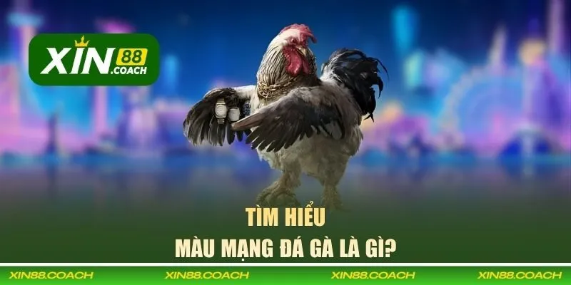 Màu mạng đá gà là gì?