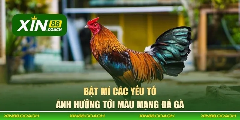 Yếu tố ảnh hưởng màu mạng